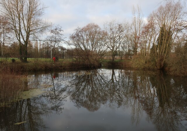 kingfisher-pond-northstowe-hugh-venables-geograph-britain-and-ireland