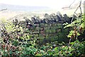 View towards Coombs Wood over wall on NE side of rural road SE of Coombe Eden