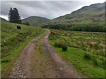 NH0328 : Rough grazing in Glen Elchaig by David Medcalf