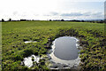 Icy puddle in a field, Tattraconnaghty