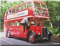 Cobham Bus Museum - RT50