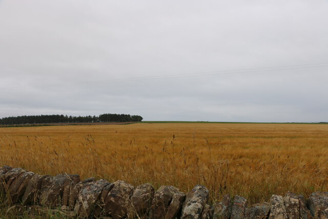 The Cuthile Strip inland of Cuthile Harbour