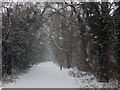 Bridleway to Cawston Grange 