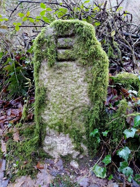 Old Boundary Marker in Buttspill woods
