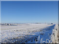 Frosted fields of The Merse