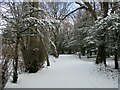 Path in the Dalzell Estate under snow