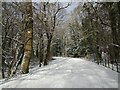 Snow-covered road in the Dalzell Estate