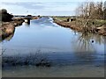 TF3902 : The tidal River Nene at Guyhirn by Richard Humphrey