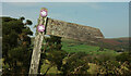 SX6762 : Signpost on Dartmoor Way by Derek Harper