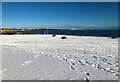 Snowy beach scene