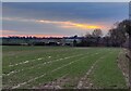 Farmland at Harper