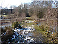 Causeway, Maidenbower Pond