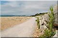 Sea defence wall and track