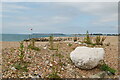 Shingle beach and groyne