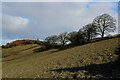 Frozen Pasture below Storiths Lane