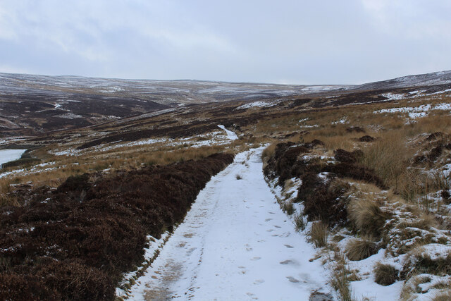 Moorland Track above Pickles Gill Beck