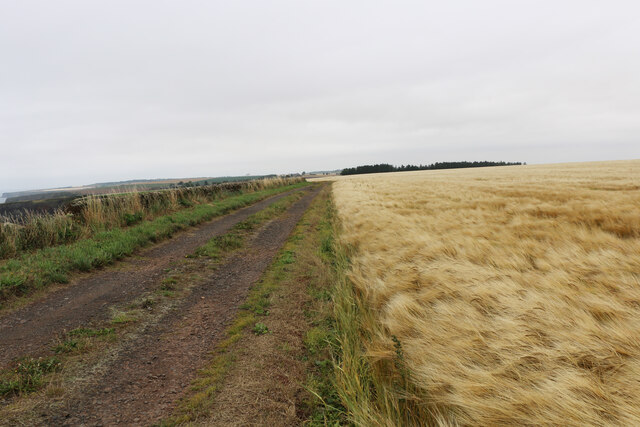Track leading to and from the car park near Red Head, Angus