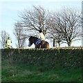 SJ9693 : Horse riders on Werneth Low by Gerald England