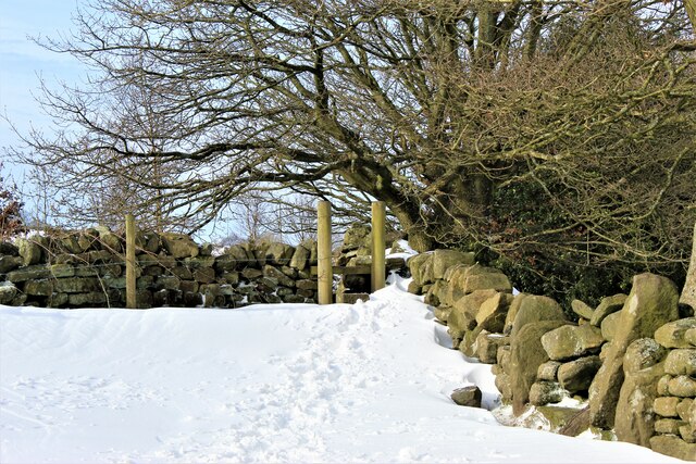 Snowdrifts on Whitwell Moor