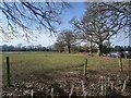 Small field next to Turners Lane