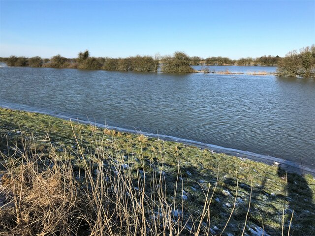 Bushes and floodwater - The Nene Washes