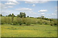 Pond beside River Glyme