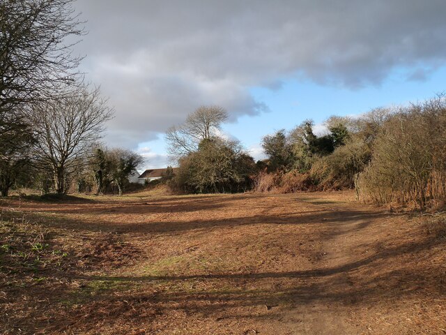 Cleared area at Newton Burrows
