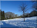 Snowy scene in the park