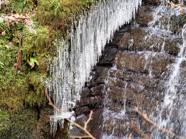 Icicles on the Weir