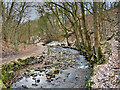 Holcombe Brook, Woodhey Valley