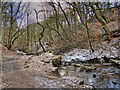 Woodhey Valley, Holcombe Brook