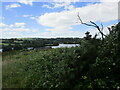 W5372 : View over the River Lee by Jonathan Thacker