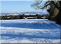 View east to the Clent Hills