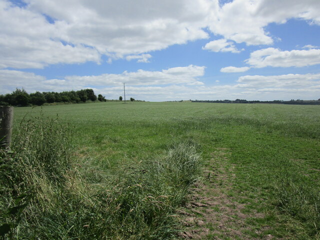 Grass field, Fergus