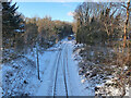 Railway line near Hamilton Station