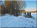 Woodland path and stile above Meikle Glen, Hamilton