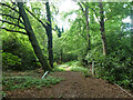 Horse ride, Stanmore Common