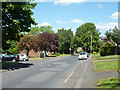 TQ1494 : Merry Hill Road, Bushey by Robin Webster
