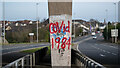 J4880 : Covid graffiti, Bangor  by Rossographer