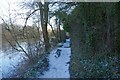 Severn Way near Stourport-on-Severn, Worcs