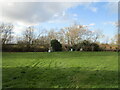 Grass field, Collingham