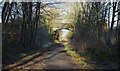 Route of Leamside Line passing beneath bridge