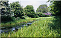 Abandoned stretch of Wyrley & Essington Canal, 1986