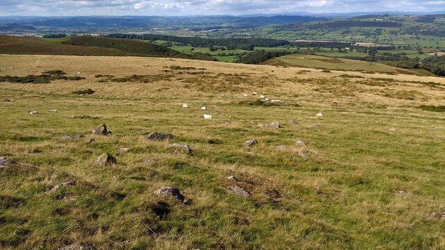 Stones on Stapeley Hill