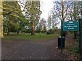 Bewdley Hill Wood, Kidderminster