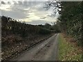 Lees Lane near Moddershall