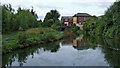 Stourbridge Canal south-west of Brierley Hill, Dudley