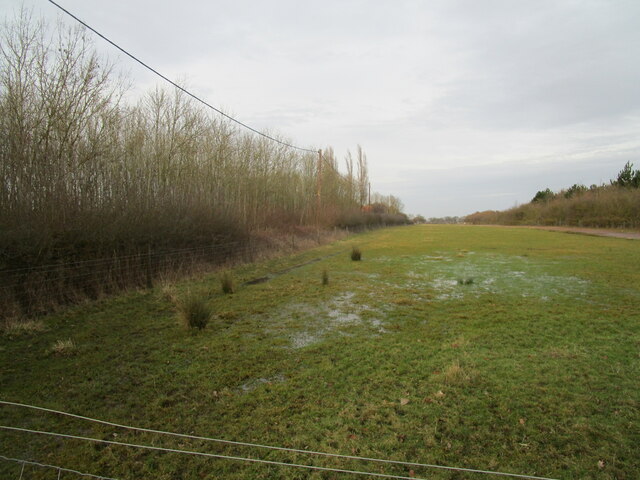 Wet grass field, Beckingham Training Area