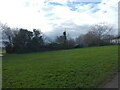 Old hedge,  Eastern Fields, Exeter