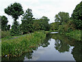 Stourbridge Canal west of Brierley Hill, Dudley